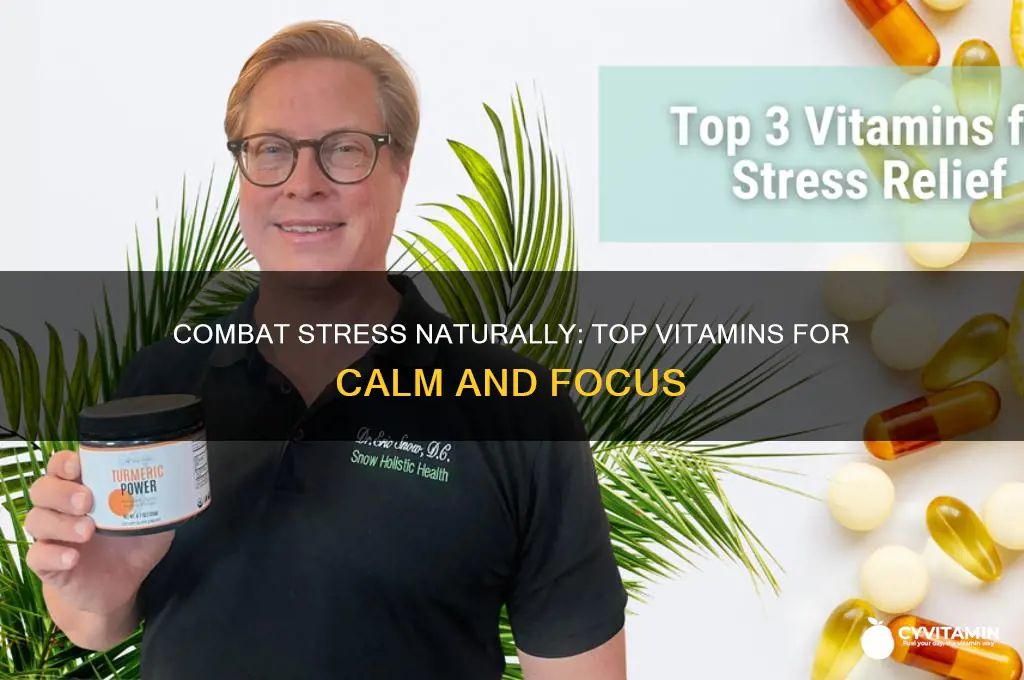 what vitamin is best for stress
