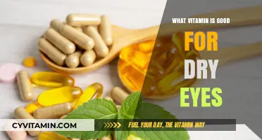 Nourish Your Vision: Top Vitamins to Combat Dry Eyes