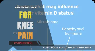 Essential Vitamins to Ease Knee Pain: A Comprehensive Guide