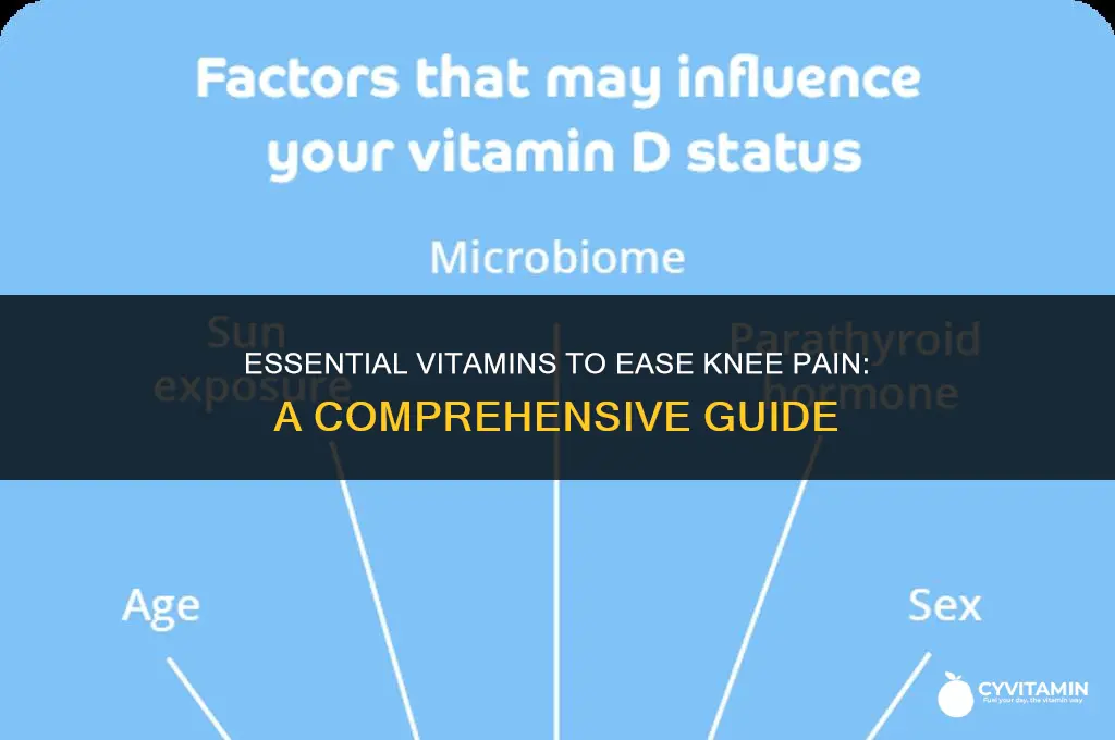 what vitamin is good for knee pain