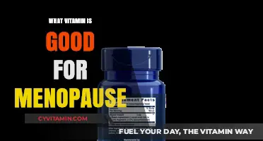 Essential Vitamins to Ease Menopause Symptoms: A Comprehensive Guide