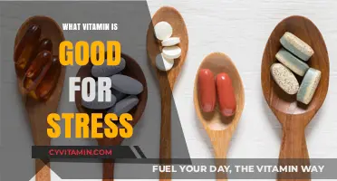 Nature's Stress Relievers: Vitamins and Minerals to Boost Your Mood