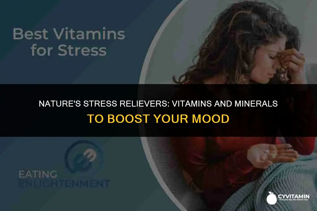 what vitamin is good for stress