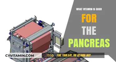 Nourishing Your Pancreas: The Essential Vitamins for Optimal Health