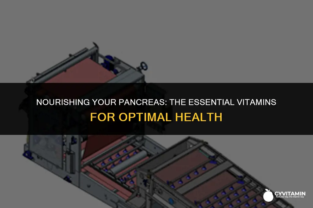 what vitamin is good for the pancreas