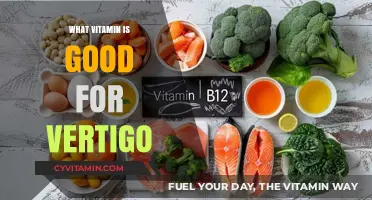 Natural Remedies for Vertigo: Which Vitamins Can Help?