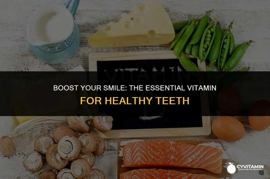 what vitamin is good for your teeth