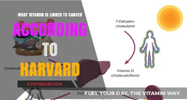 Harvard Research Uncovers Vitamin Link to Cancer Risk
