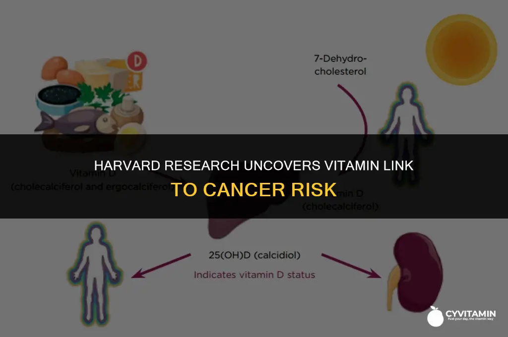what vitamin is linked to cancer according to harvard