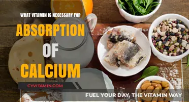 Unlocking Calcium Absorption: The Vital Role of Vitamin D