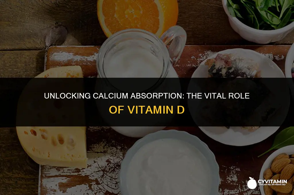 what vitamin is necessary for absorption of calcium