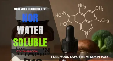 Unlocking the Mystery: The Unique Vitamin Neither Fat nor Water Soluble