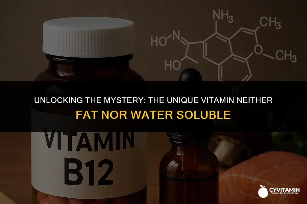 what vitamin is neither fat nor water soluble