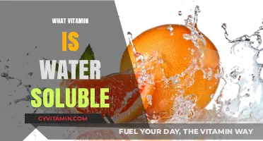 Exploring Water-Soluble Vitamins: A Comprehensive Guide to Nutrition