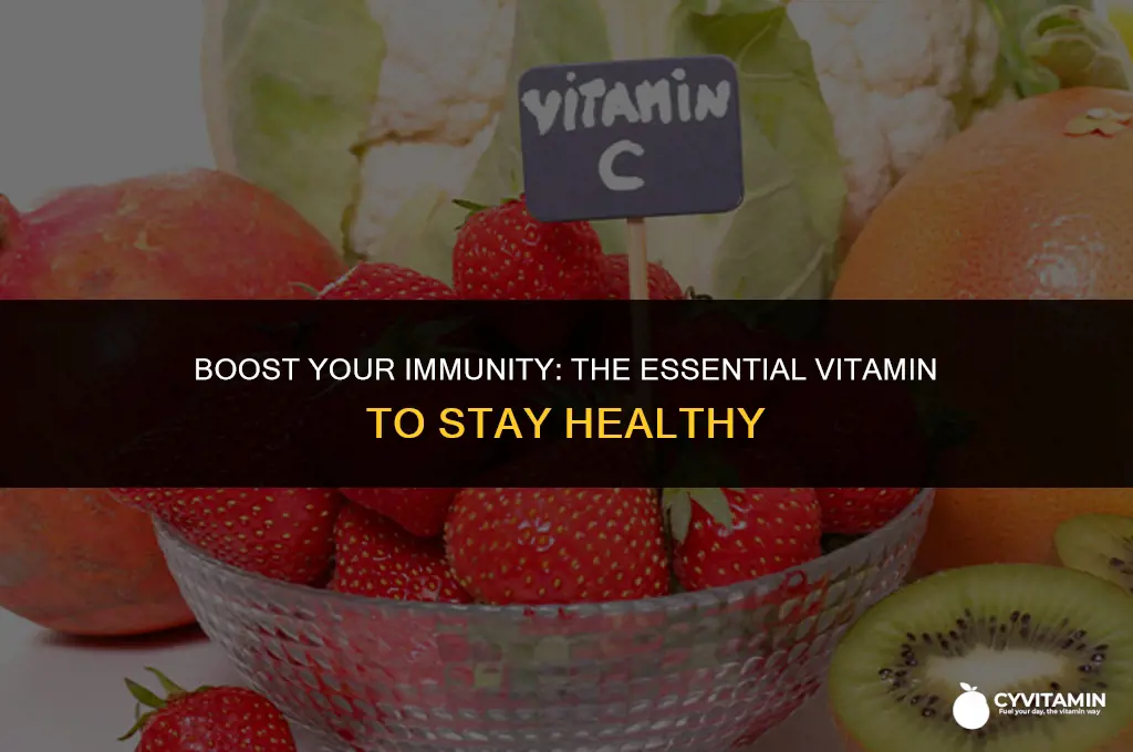 what vitamin keeps you from getting sick