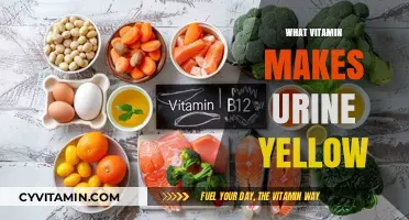 The Surprising Truth About What Gives Urine Its Yellow Hue