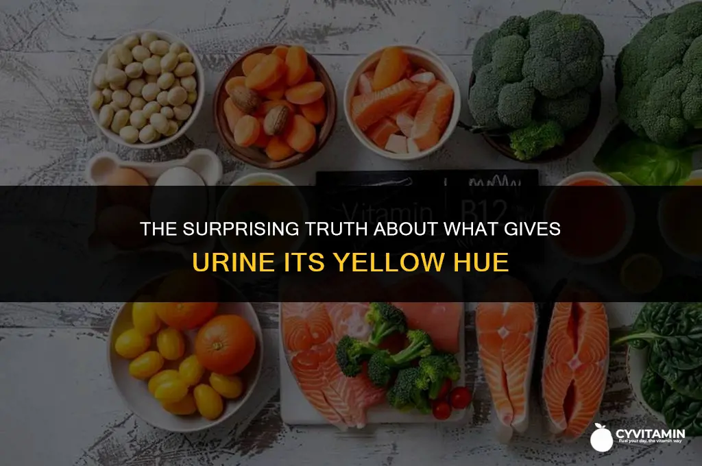 what vitamin makes urine yellow