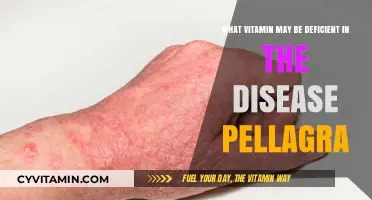 Unveiling the Vitamin Deficiency Behind Pellagra: A Comprehensive Guide