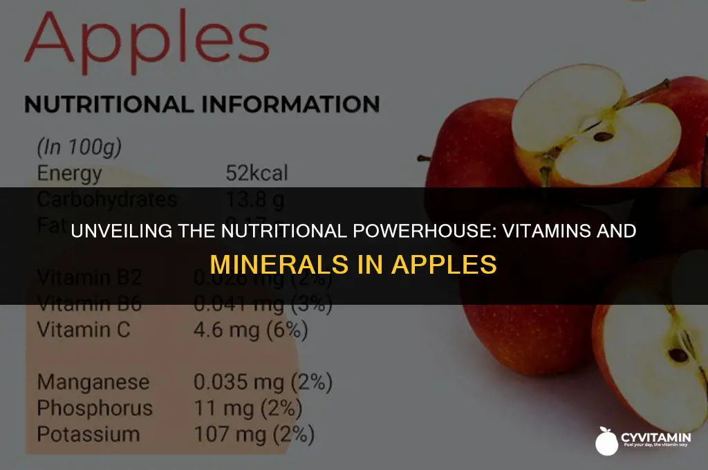 what vitamins and minerals are in apples