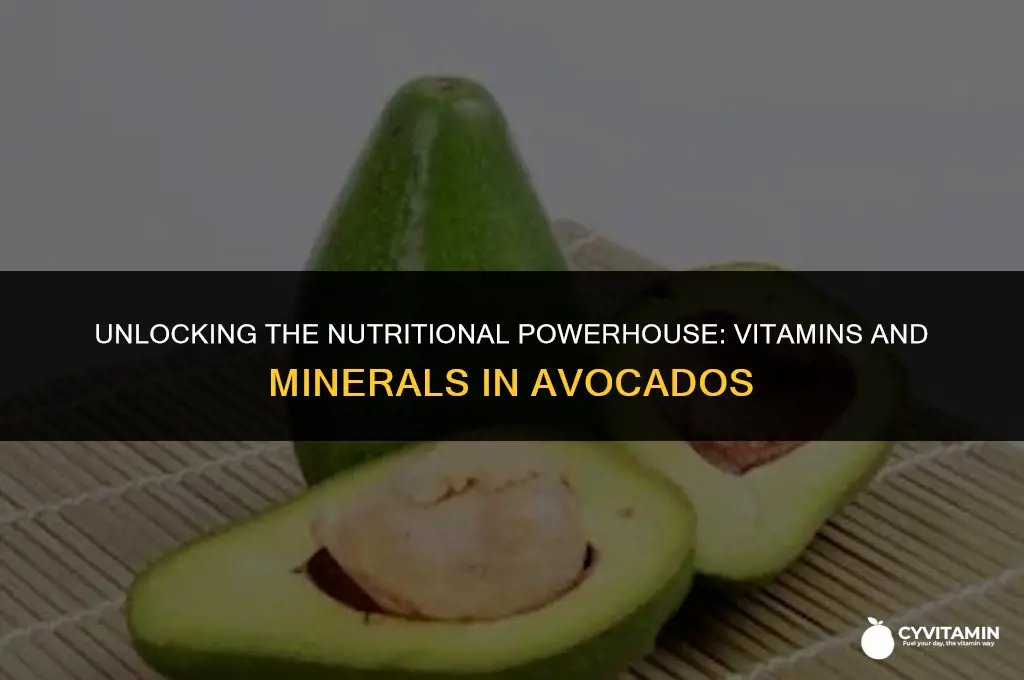 what vitamins and minerals are in avocados