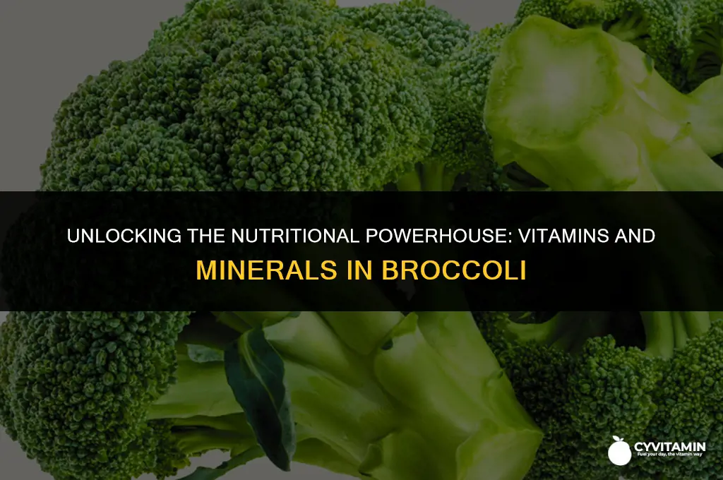what vitamins and minerals are in broccoli