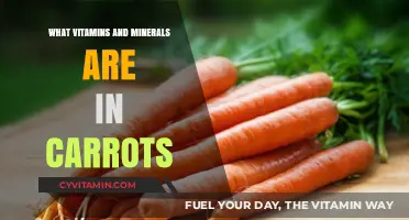 Unlocking the Nutritional Powerhouse: Vitamins and Minerals in Carrots