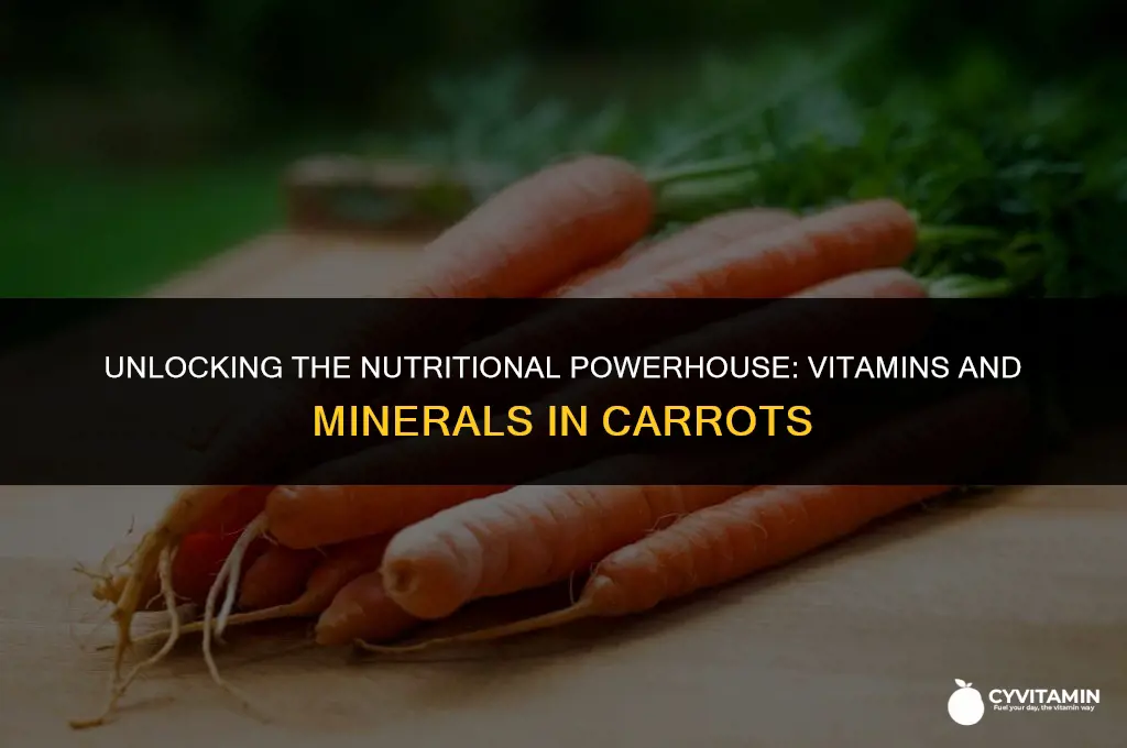 what vitamins and minerals are in carrots