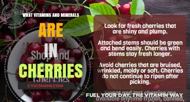 Cherry Nutrition: Unlocking the Power of Vitamins and Minerals