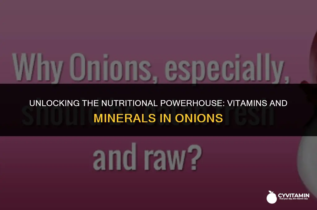 what vitamins and minerals are in onions
