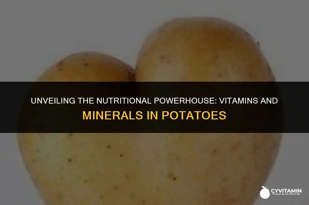 what vitamins and minerals are in potatoes