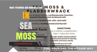 Unlocking Nature's Bounty: The Surprising Nutrient Profile of Sea Moss