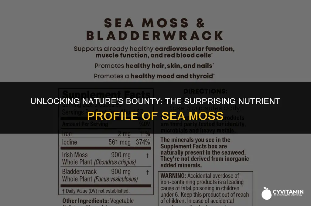 what vitamins and minerals are in sea moss