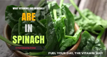 Unlocking the Nutritional Powerhouse: Spinach's Vitamin and Mineral Riches