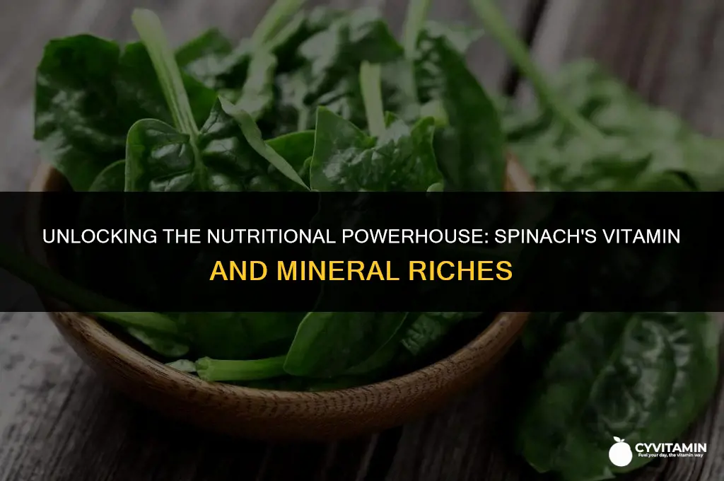 what vitamins and minerals are in spinach