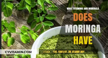 Unlocking Nature's Powerhouse: The Essential Vitamins and Minerals in Moringa