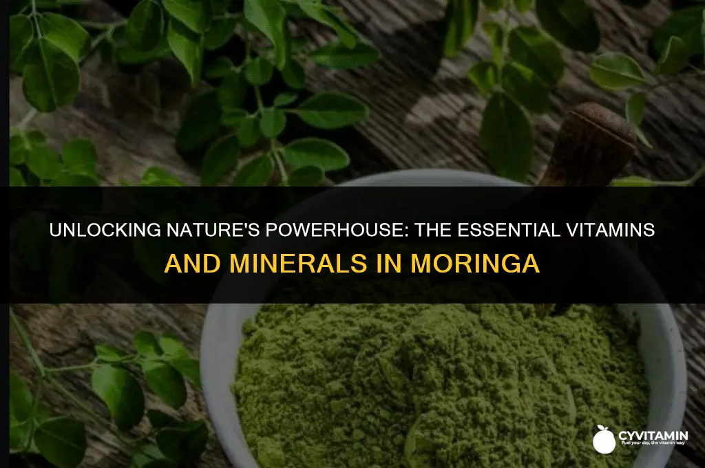 what vitamins and minerals does moringa have
