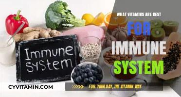 Boost Your Immunity: Top Vitamins for a Stronger Immune System