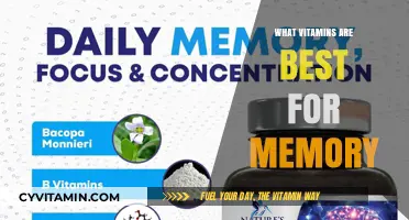 Boost Your Memory: Top Vitamins for Cognitive Health and Focus