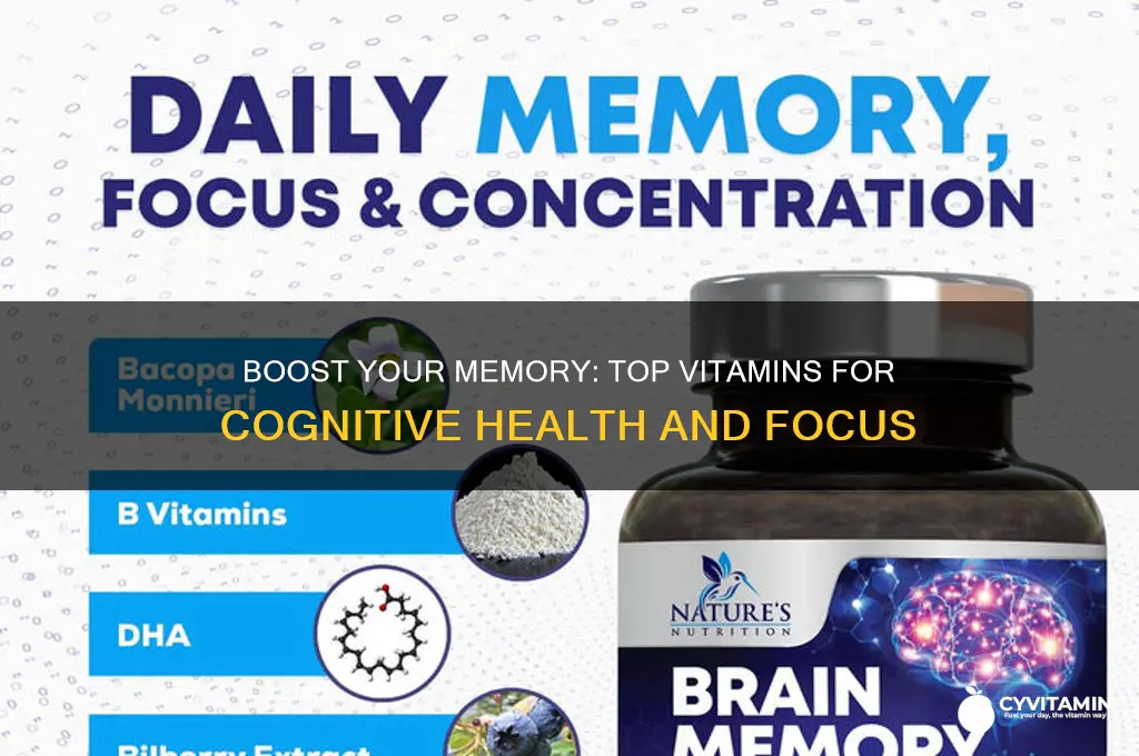 what vitamins are best for memory