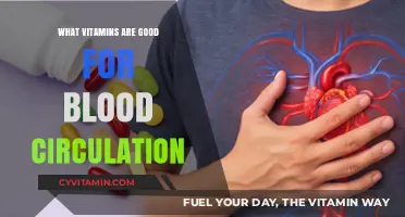 Boost Your Blood Flow: Essential Vitamins for Optimal Circulation