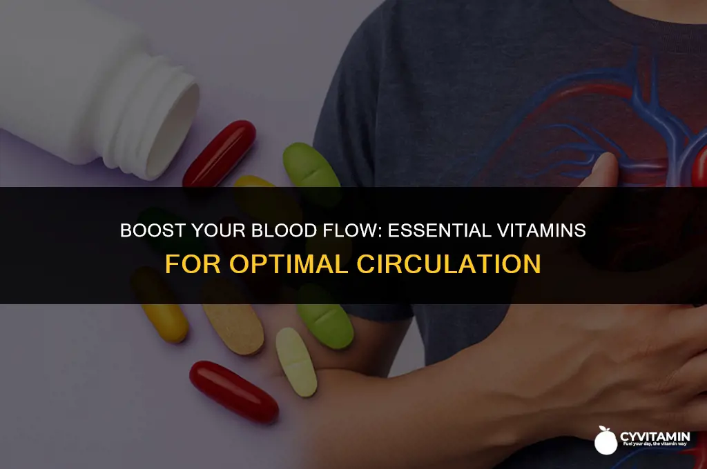 what vitamins are good for blood circulation