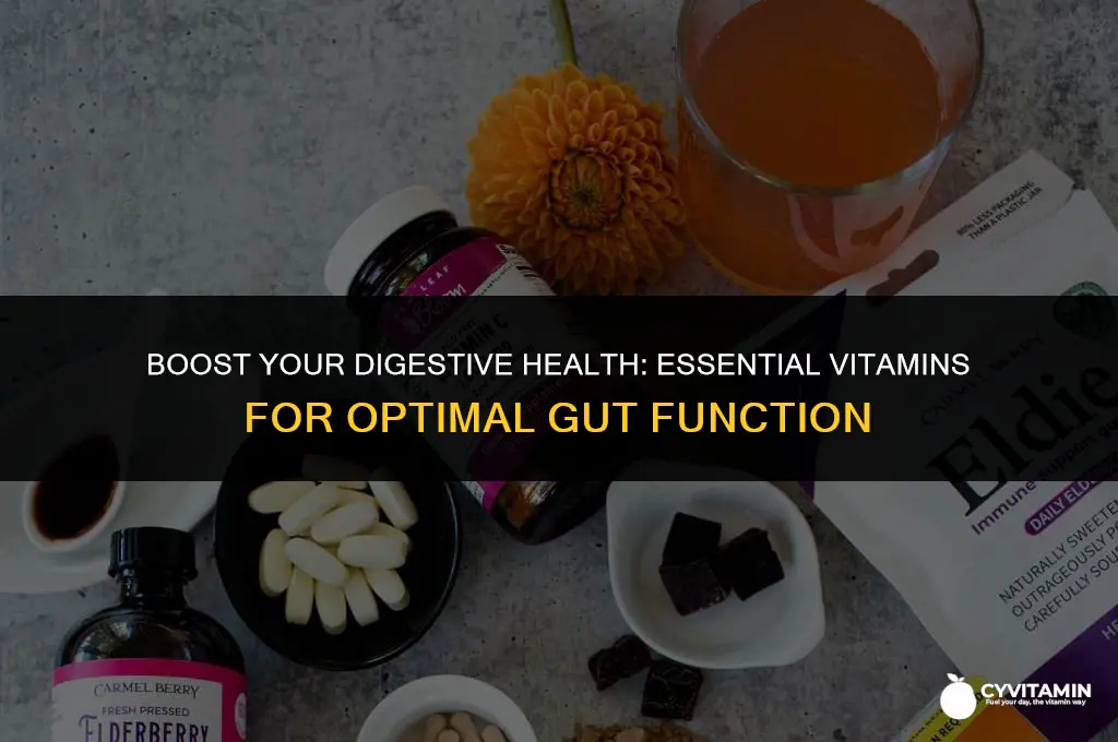 what vitamins are good for digestion