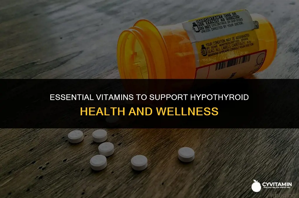 what vitamins are good for hypothyroid patients
