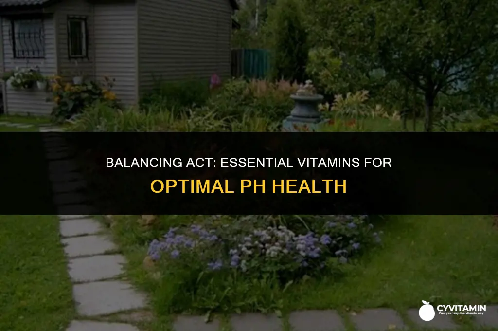 what vitamins are good for ph balance