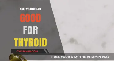 Essential Vitamins to Support Thyroid Health and Function