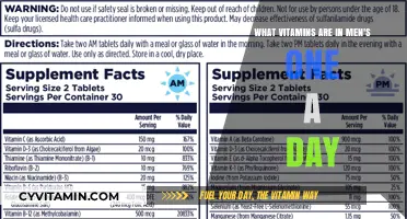 Unlocking Optimal Health: The Essential Vitamins in Men's One-a-Day