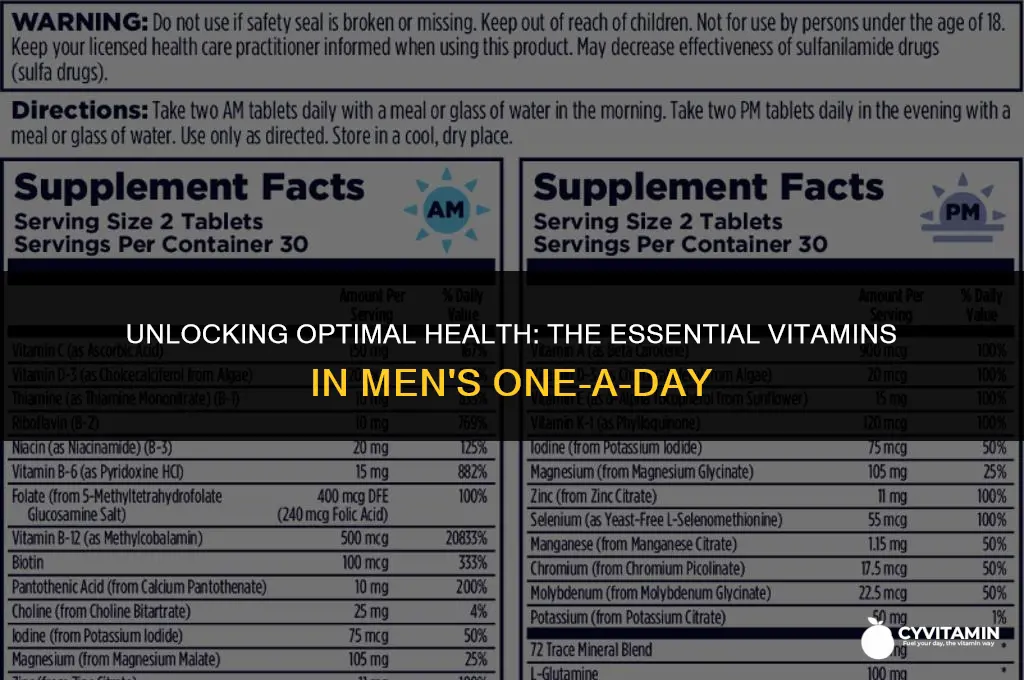 what vitamins are in men