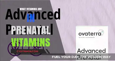 Nourishing Beginnings: Unveiling the Essential Vitamins in Prenatal Supplements