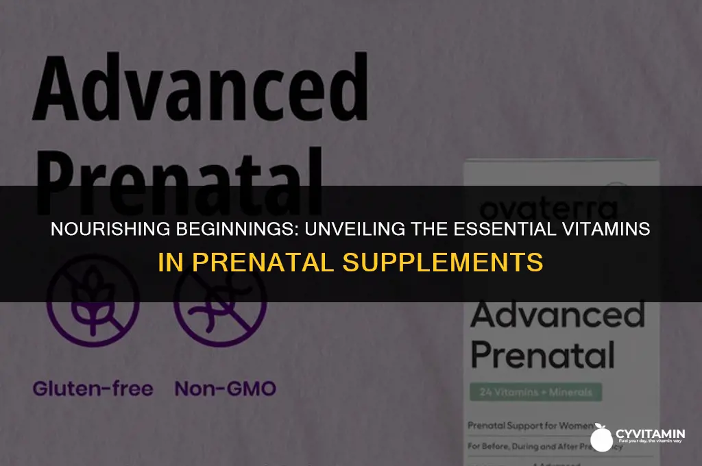 what vitamins are in prenatal vitamins