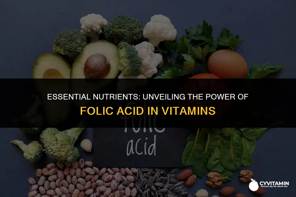 what vitamins contain folic acid